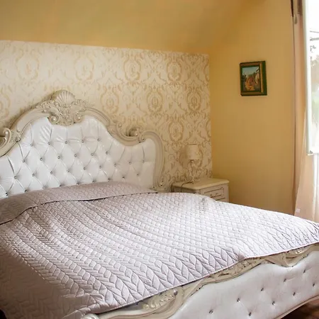 假日公园 Le Pavillon De St Agnan 3*